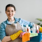 House Cleaner House Cleaner